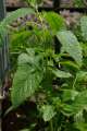 bild_05